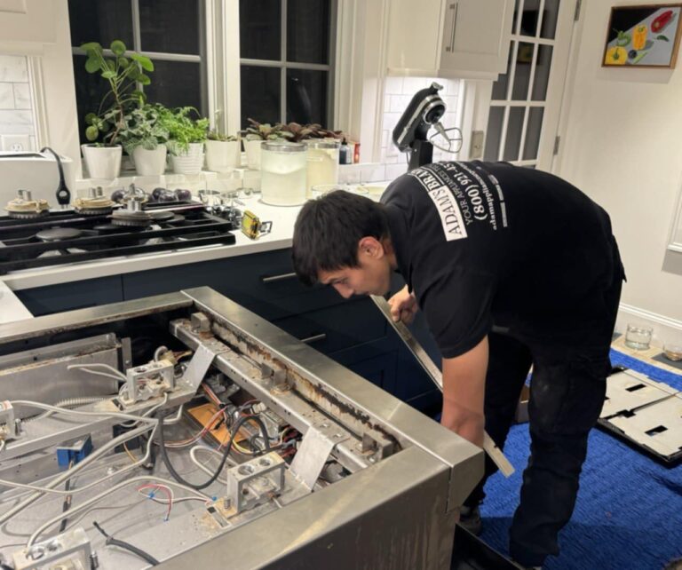 Professional Wolf Oven Repair